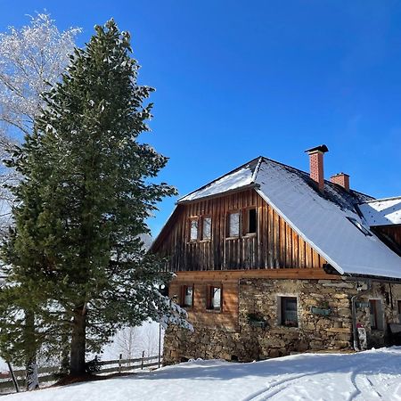 Apartments Im Almhaus Bachler Gundisch المظهر الخارجي الصورة